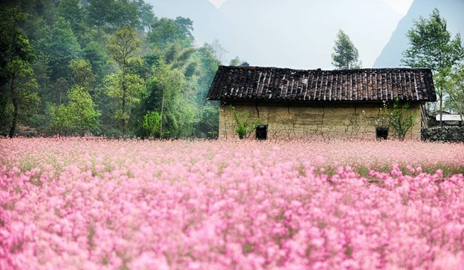 ha giang tour