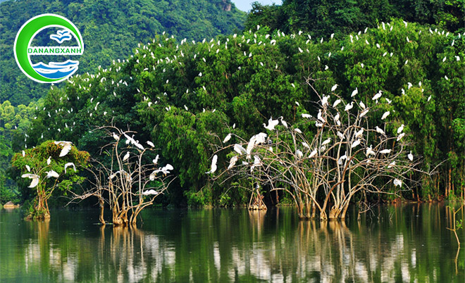 ninh-binh