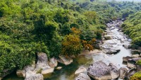 Đà Nẵng sắp có Khu du lịch sinh thái 339ha