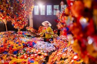 Làng hoa giấy Thanh Tiên mỗi độ xuân về