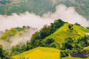 Bản Phùng – mùa vàng trên những nấc thang giữa Hoàng Su Phì