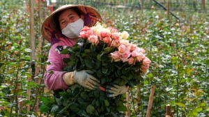 Festival Đà Lạt sắp đến gần
