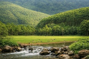 Suối Mỡ Lục Nam, Bắc Ninh đẹp như cổ tích