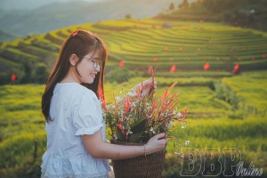 Vẻ đẹp quyến rũ của ruộng bậc thang Pu Nhi