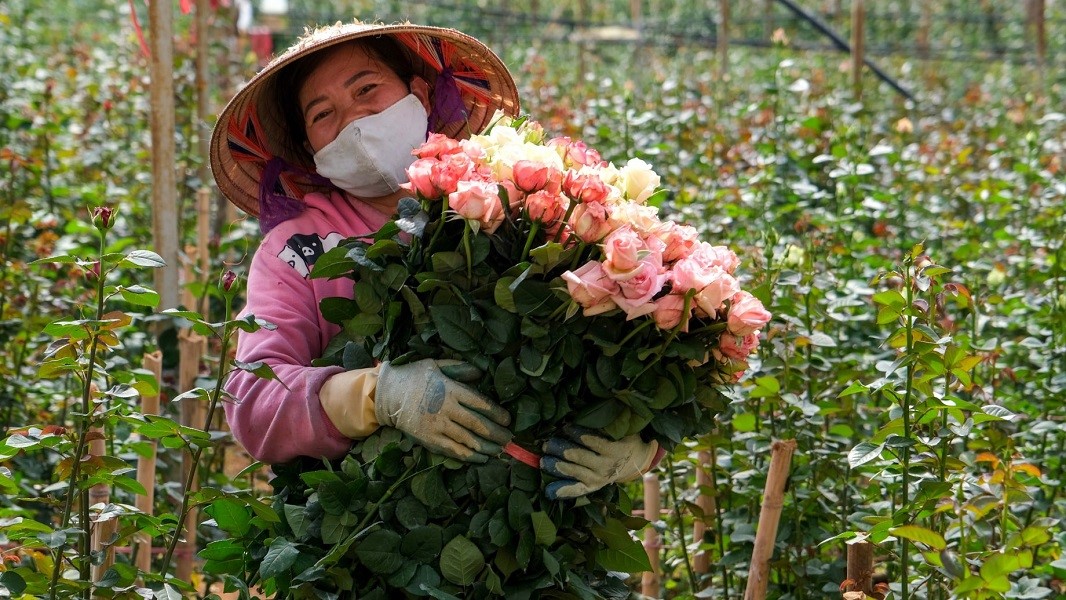 Festival Đà Lạt sắp đến gần