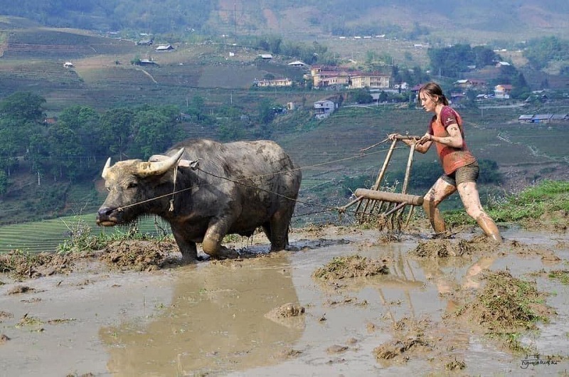 Khách Tây thích thú với những trải nghiệm ở Việt Nam