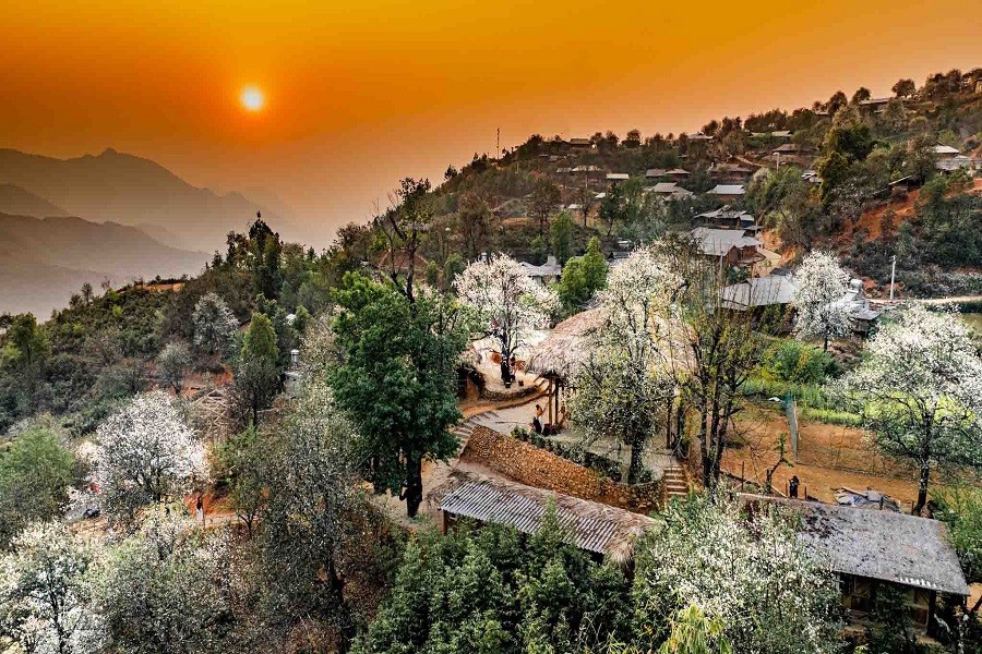 Nậm Nghiệp: Hành trình tìm về sự bình yên nơi bản cao