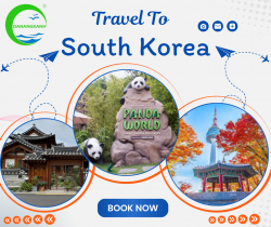 Tour Hàn Quốc No Shopping