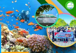 Tour lặn ngắm san hô Sơn Trà
