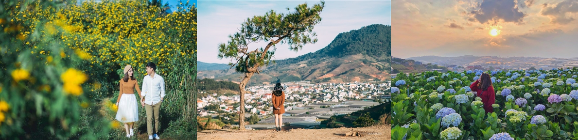 tour tet da nang di dat lat