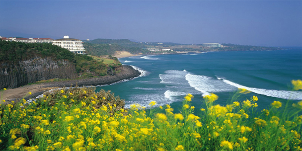 tour da nang dao jẹu-1